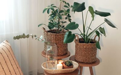 Réveille ta créativité avec la décoration : conseils et astuces pour faire de ton intérieur un véritable chef-d’œuvre